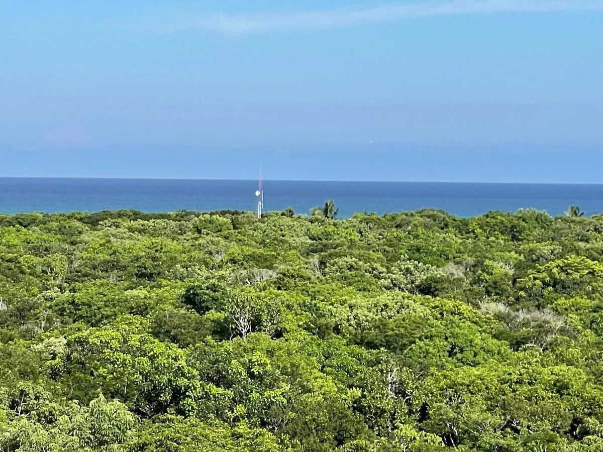 Arova Apartments Tulum By Seashore Apartments Cancun