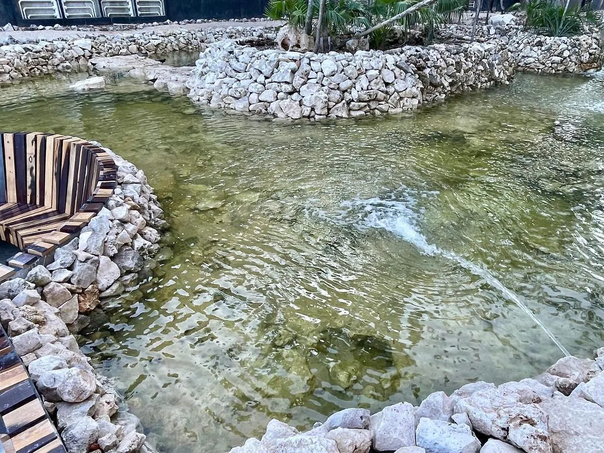 Arova Apartments Tulum By Seashore Apartments Cancun